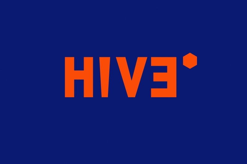 HIVE 品牌设计