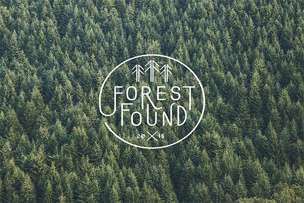 Forest户外教育企业VI设计